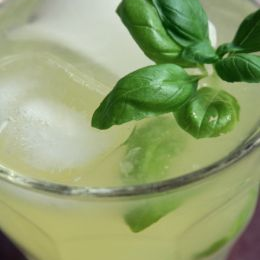 Receta de Martini de Albahaca
